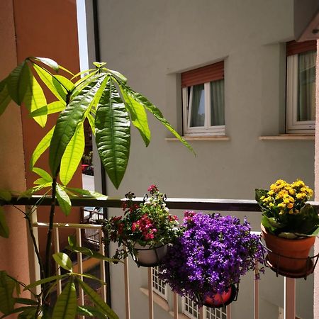 Apuleio 11 Appartement Rome Buitenkant foto