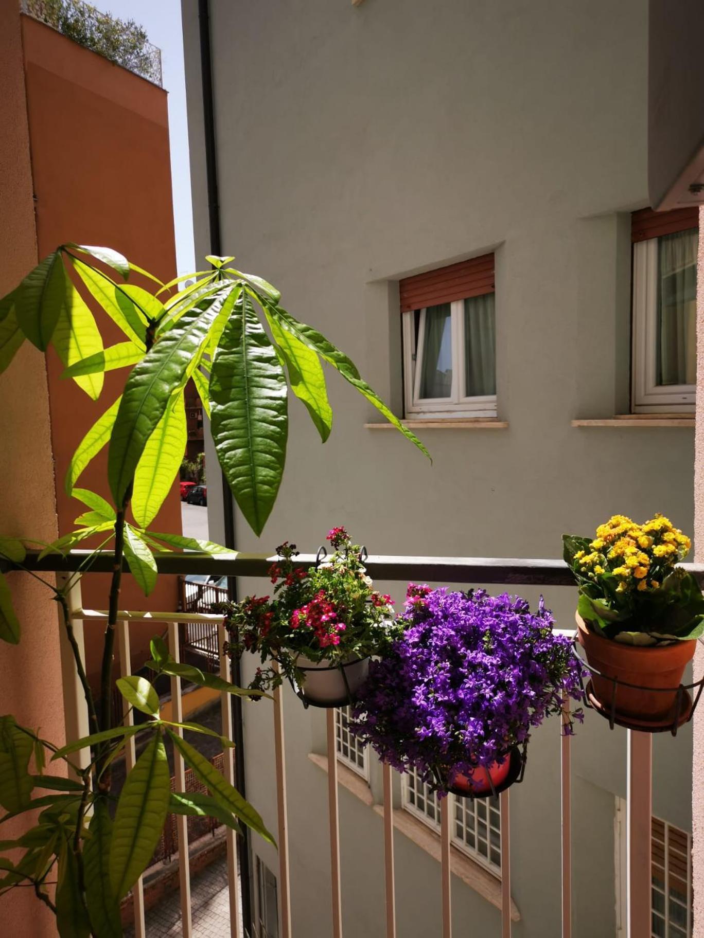 Apuleio 11 Appartement Rome Buitenkant foto